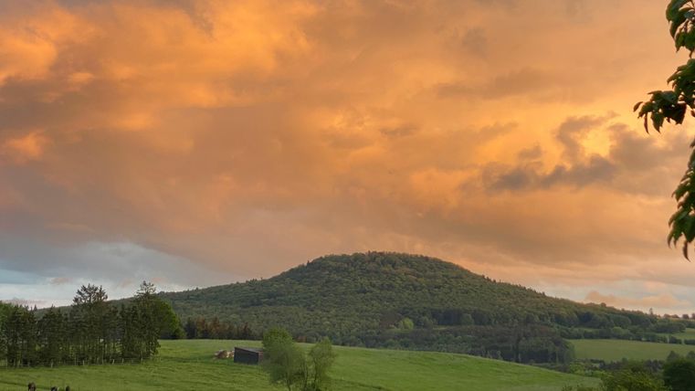 Een zachte heuvel met groene weiden en bomen. De lucht is gekleurd in warme oranjetinten.