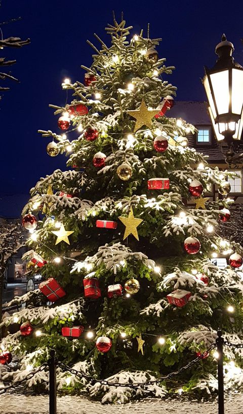 Ein festlich geschmückter Weihnachtsbaum mit roten Kugeln, goldenen Sternen und Geschenken. Der Baum ist mit Schnee bedeckt und wird von warmem Licht beleuchtet.