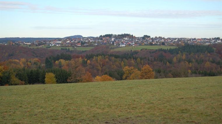 Een pittoresk landschap met glooiende heuvels en kleurrijke bladeren op de voorgrond. Op de achtergrond ligt een kleine stad, omgeven door bossen.