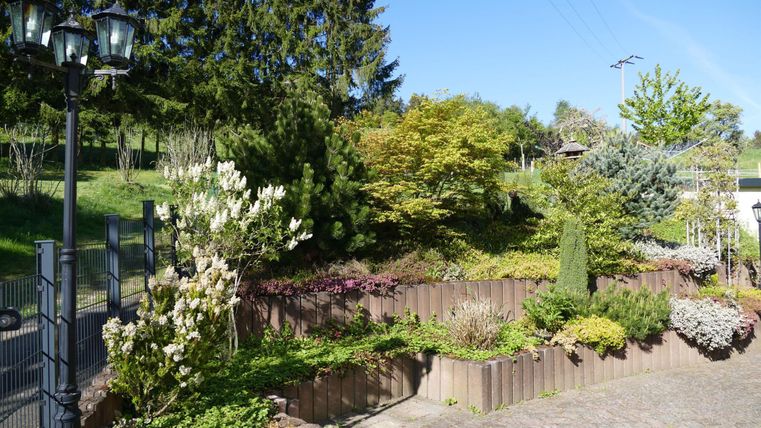 Een mooie tuin met kleurrijke bloemen en verschillende planten. Op de achtergrond staan bomen onder een heldere blauwe lucht.