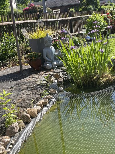 Een mooie tuin met een vijver en groene planten. Een standbeeld van een Boeddha zit vredig aan de rand van het water.