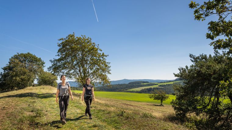 Zwei Personen gehen auf einem Wanderweg durch eine grüne Landschaft. Der Himmel ist klar und blau, und die Umgebung ist von Bäumen umgeben.