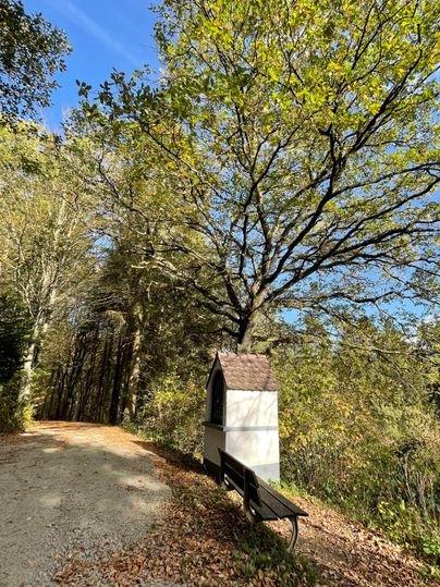 Un chemin paisible entouré d'arbres et de feuillage automnal coloré. Sur le côté se trouve un petit banc avec un abri en bois.