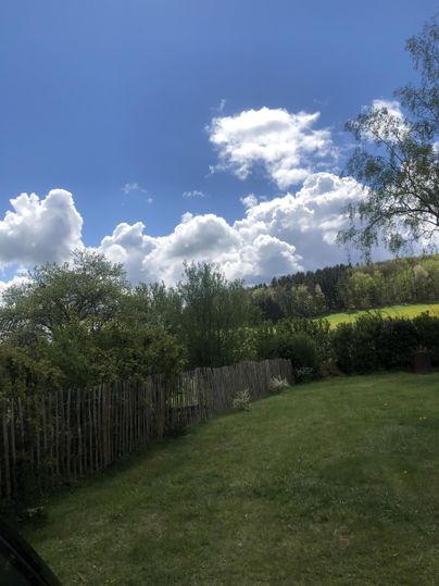 A beautiful garden with lots of greenery and low bushes. The sky is blue with some white clouds.