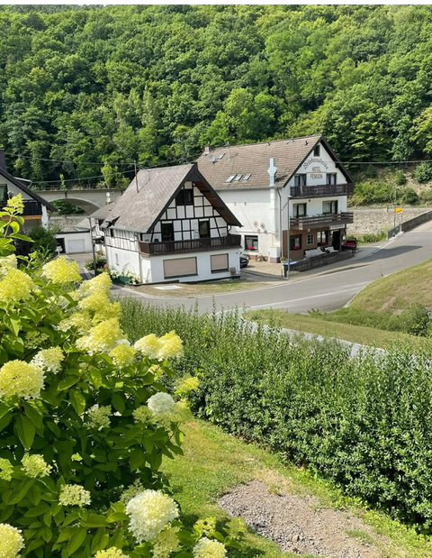 Une belle vue sur la maison de vacances et le B&B, entourés de forêts vertes