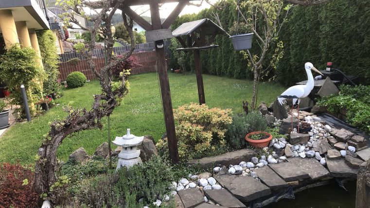 A beautiful garden with a small pond and a white wading bird. Green areas, plants, and a stone path can also be seen.