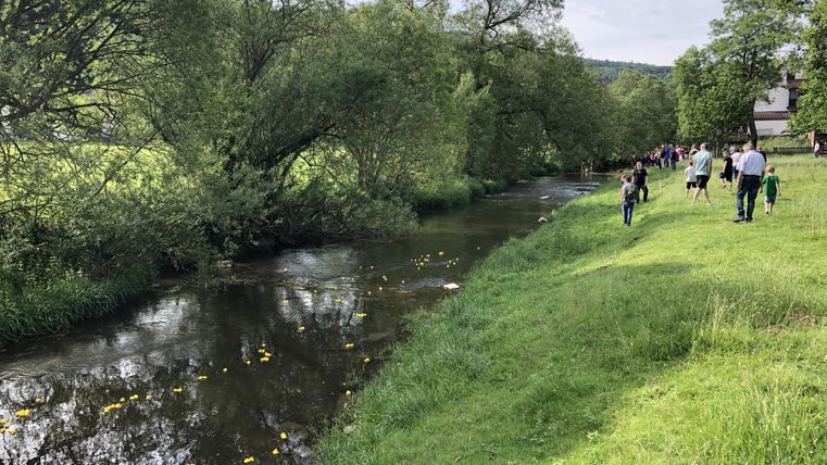 Ein ruhiger Fluss umgeben von grünen Wiesen und Bäumen. Menschen spazieren entlang des Ufers und genießen die Natur.