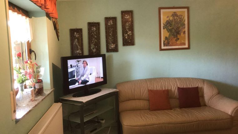 A cozy living room with a beige sofa and a TV on a table. Decorative pictures hang on the wall, and plants are on the windowsill.