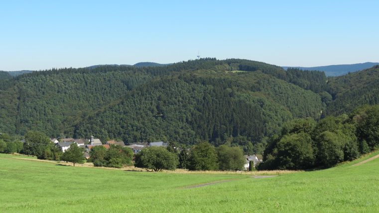 Eine grüne, weitläufige Wiese mit sanften Hügeln im Hintergrund. Der Himmel ist klar und blau, und die Landschaft ist von Bäumen umgeben.