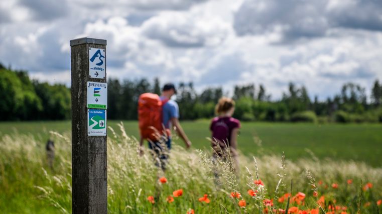 Im Vordergrund steht ein Holzpfosten mit mehreren Wegmarkierungen des AhrSteigs und des Eifelvereins. Um den Pfosten wachsen hohe grüne Gräser und einzelne leuchtend rote Mohnblumen. Im Hintergrund verläuft eine weite, grüne Wiesenlandschaft vor einem dunklen Waldrand. Zwei unscharf dargestellte Wandernde bewegen sich durch das Feld. Über der Landschaft ziehen dichte grau-weiße Wolken auf, die den Himmel dominieren. Die Aufnahme zeigt eine typische Wanderszene in einer offenen Natur- und Kulturlandschaft.