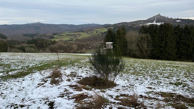 Een winterlandschap met sneeuw op de grond. Op de achtergrond zijn zachte heuvels en bossen te zien.