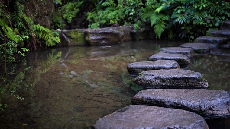 Ein ruhiger Teich mit Steinen, die als Fußweg dienen. Üppiges, grünes Pflanzenleben umgibt das Wasser.