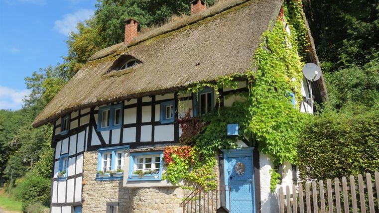 Fachwerkhaus mit Reetdach und Efeubewuchs in Eichenbach, umgeben von Bäumen.