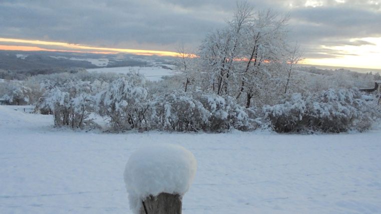 Eine verschneite Landschaft mit Bäumen und einem sanften Sonnenuntergang im Hintergrund. Der Boden ist komplett mit Schnee bedeckt.
