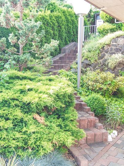 A beautiful garden with green plants and a paved staircase. The surroundings are well-kept and inviting.