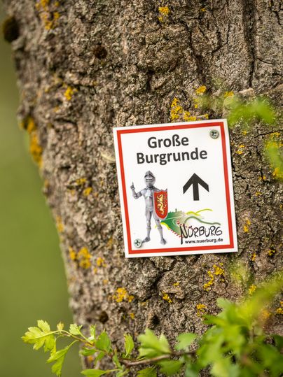 An einem Baumstamm hängt ein weißes Wegeschild mit rotem Rand und der Aufschrift „Große Burgrunde“, dazu ein schwarzer Pfeil nach oben und das Nürburg-Logo mit einem Ritter und der Webadresse „www.nuerburg.de“.