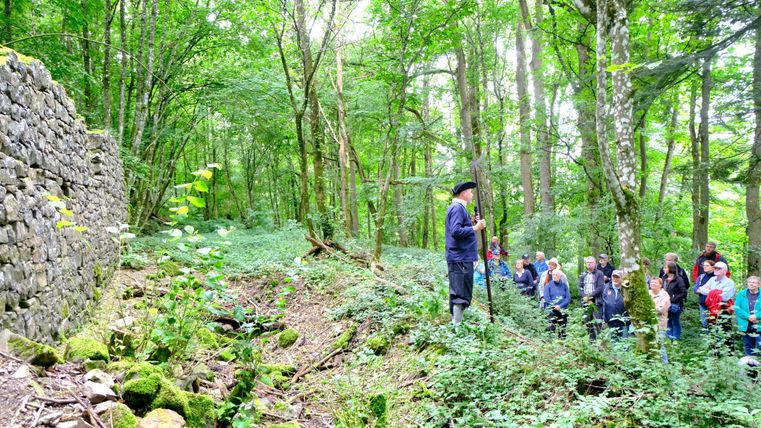 Eine Gruppe von Menschen hört einem Sprecher im Wald zu, während grüne Bäume und Pflanzen die Umgebung umgeben. Im Hintergrund ist eine Steinmauer sichtbar.