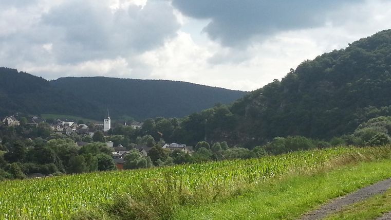 Eine Landschaft mit grünen Feldern und sanften Hügeln. Im Hintergrund ist ein kleines Dorf mit einer Kirche und bewölkten Himmel zu sehen.