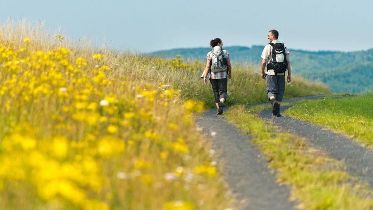 Zwei Wanderer auf einem Weg in der Eifel, umgeben von gelben Blumen und grünen Hügeln.
