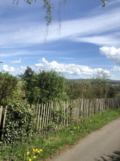 A rural scene with a planted fence and plenty of greenery. The sky is blue with some clouds.