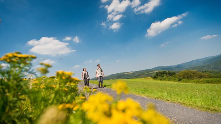 Zwei Personen wandern auf einem Weg durch eine grüne Landschaft. Der Himmel ist klar und blau, umgeben von bunten Blumen.