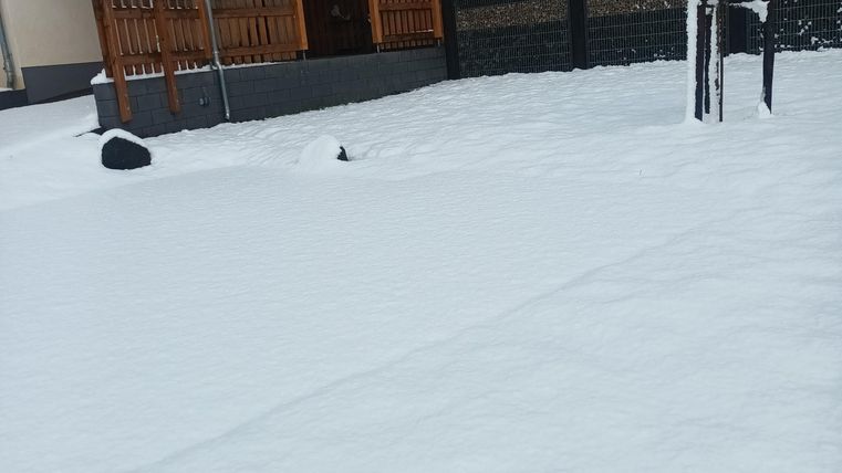 Een met sneeuw bedekte tuin voor een huis met een houten veranda. De lucht is grijs en bewolkt.
