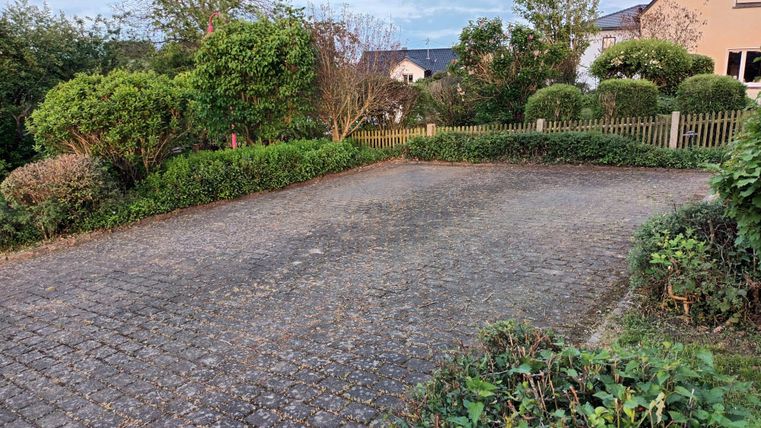 An empty square surrounded by green bushes and trees. In the background, a house is visible.