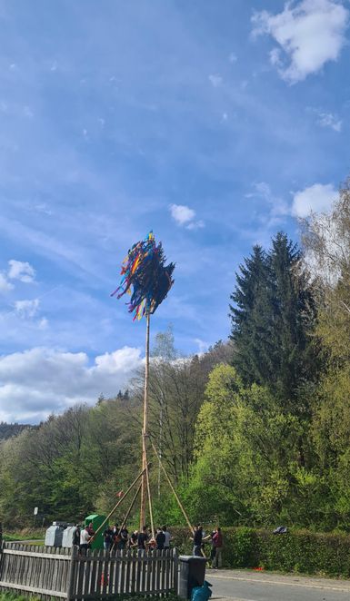 Ein Maibaum steht aufrecht in der Landschaft, geschmückt mit bunten Bändern. Im Hintergrund sind grüne Bäume und ein blauer Himmel sichtbar.