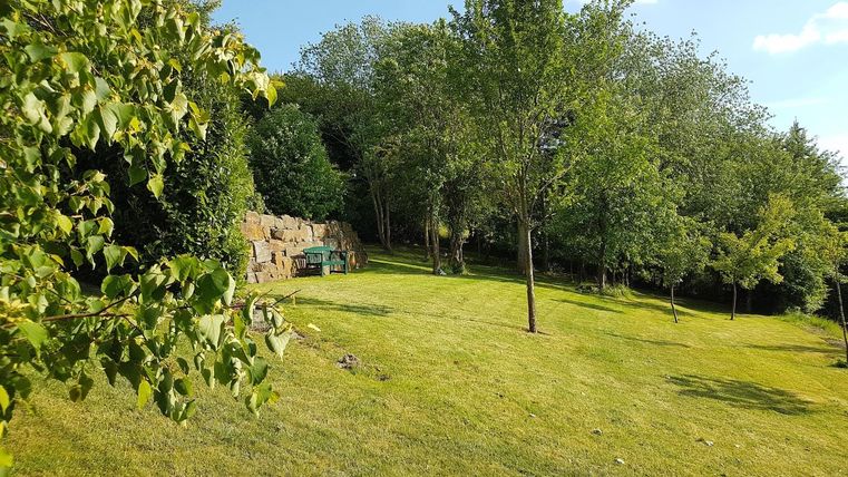 Eine grüne Wiese umgeben von Bäumen. Im Hintergrund ist eine kleine Steinformation zu sehen.