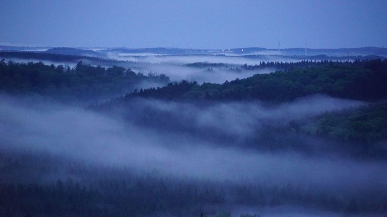 Eine mystische Landschaft mit sanften Hügeln und dichten Nebelschwaden. Der Himmel hat einen tiefblauen Farbton in der Dämmerung.