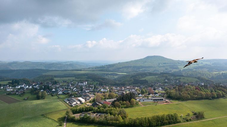 Eine weite Landschaft mit einem kleinen Dorf, umgeben von grünen Feldern und sanften Hügeln. Ein Flugzeug schwebt über dem Gelände.