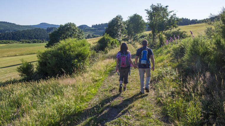 Ein Paar geht Hand in Hand auf einem Wanderweg. Die Umgebung zeigt grüne Wiesen und sanfte Hügel unter einem klaren Himmel.