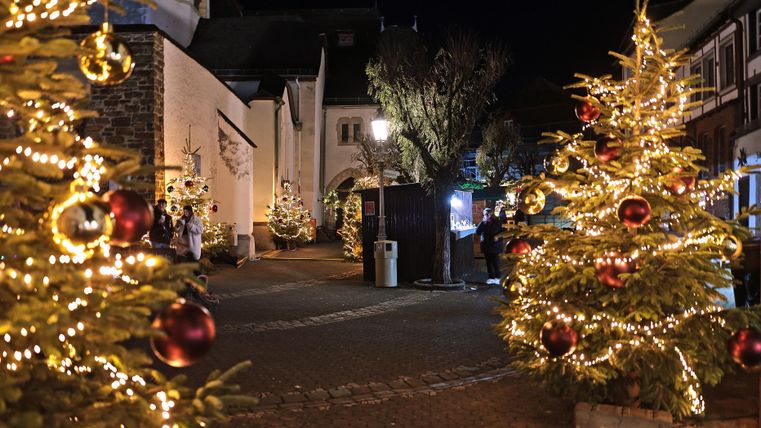 A festively decorated square with illuminated Christmas trees. The atmosphere is cozy and Christmas-like.