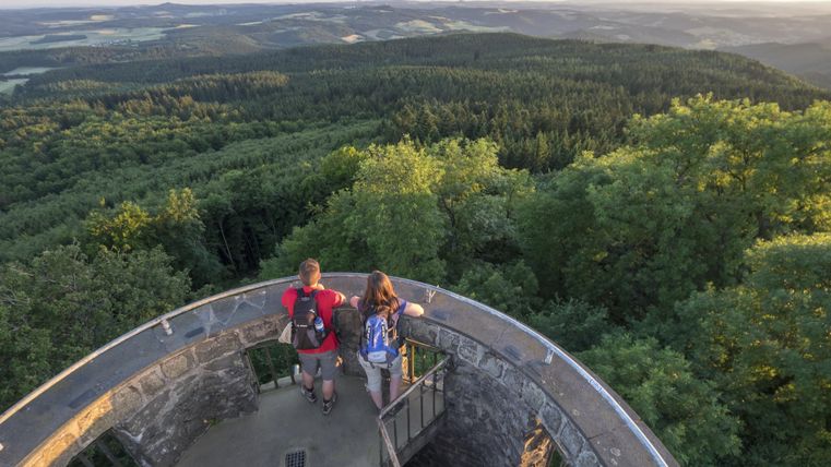 Ein Blick von einem Aussichtsturm auf eine grüne Landschaft. Zwei Wanderer genießen die Aussicht in der Natur.