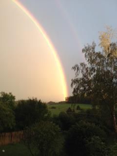 A beautiful rainbow over a green landscape. Nature is surrounded by trees and shrubs.
