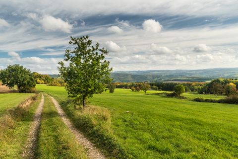 Landschaft mit Feldweg, Bäumen und weitem Blick auf Hügel unter bewölktem Himmel.