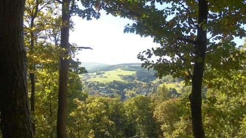 Une belle vue à travers les arbres sur un paysage verdoyant. Le ciel est clair et la nature dégage une sérénité.