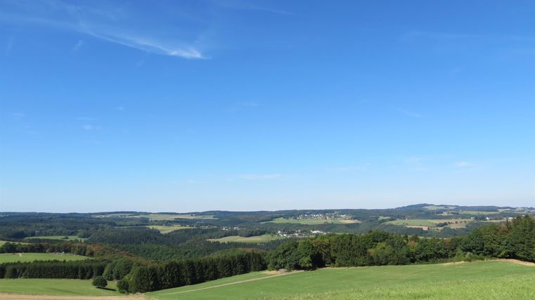 Eine weitläufige Landschaft mit grünen Wiesen und Hügeln unter einem klaren blauen Himmel. Die Natur scheint friedlich und einladend.