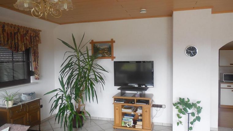 Un espace de vie confortable avec une grande plante et une télévision. Les murs sont clairs et il y a une fenêtre avec des rideaux.