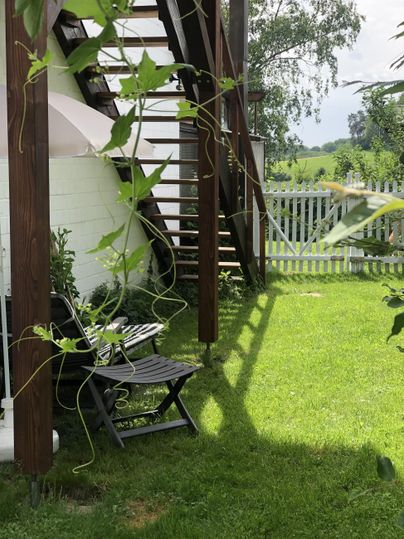 A well-kept garden with green grass and a wooden staircase. In the foreground, there is a comfortable chair under a plant.