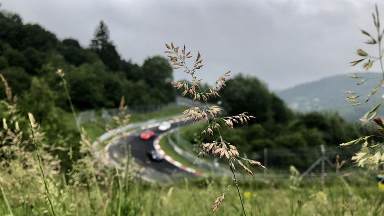 Eine kurvenreiche Rennstrecke in einer grünen Landschaft mit Gras im Vordergrund. Der Himmel ist bewölkt und es sind mehrere Fahrzeuge auf der Strecke zu sehen.