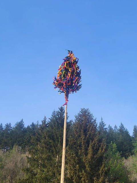 Ein farbenfroher Maibaum mit bunten Bändern steht hoch über den Bäumen. Der Himmel ist klar und blau.