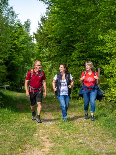 Drei Personen wandern auf einem Waldweg in der Eifel.