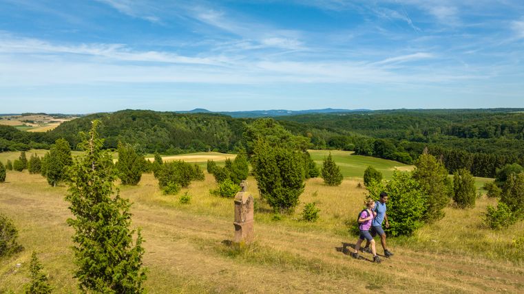 Zwei Wanderer auf einem Pfad in einer hügeligen Landschaft mit Bäumen und weitem Himmel.