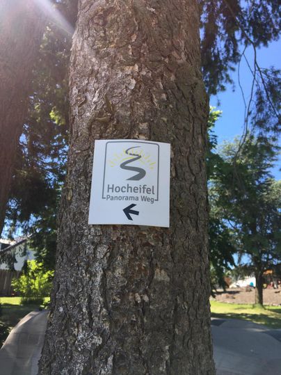 Ein Schild mit der Aufschrift 'Hocheifel Panorama Weg' an einem Baumstamm, umgeben von Bäumen und blauem Himmel.