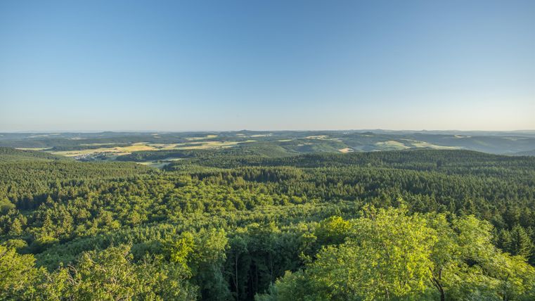 Eine weite Landschaft mit dichten Wäldern und sanften Hügeln unter einem klaren Himmel. Die Natur wird von grünem Laub und malerischen Feldern geprägt.
