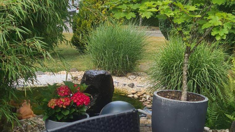 A cozy outdoor area with a black chair and lush greenery. In the background, plants and flowers in pots can be seen.