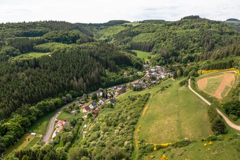 Eine malerische Landschaft mit sanften Hügeln, Wäldern und einem kleinen Dorf. Saftige grüne Wiesen und ein gewundener Weg erstrecken sich durch die Natur.