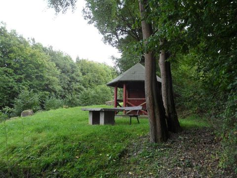 Ein gemütlicher Grillplatz in einer grünen Umgebung. Ein Holzhaus und ein Tisch stehen zwischen den Bäumen.