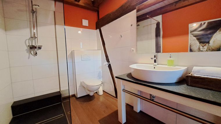 A modern bathroom with a shower and toilet.
On the sink, there is a soap dish, and the walls are designed in warm colors.